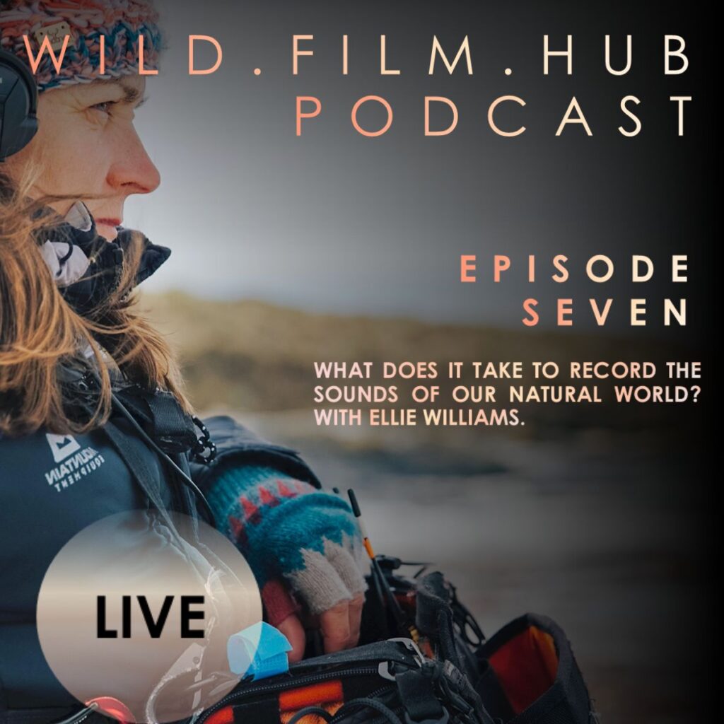 Wild-Film-Hub-Podcast-Production-Ellie-Williams-Sound=Recordist 