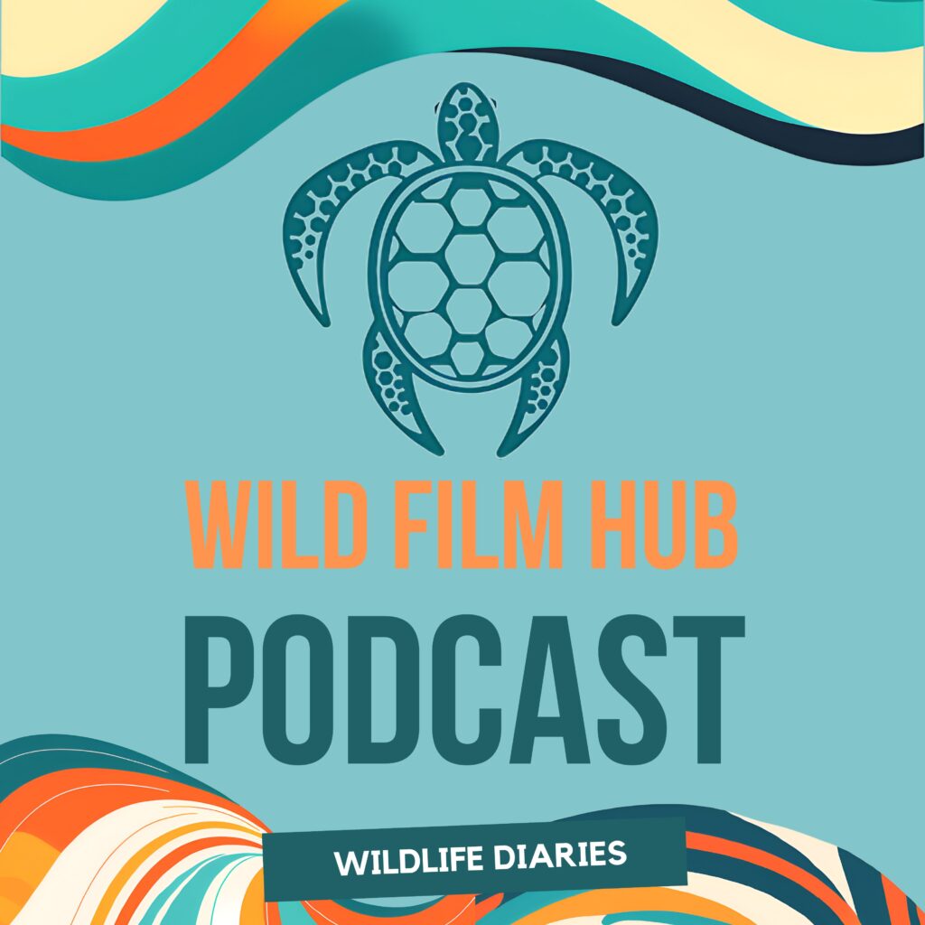 Wild-Film-Hub-Podcast-Production